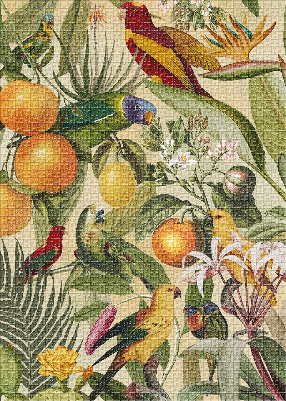Muno Puzzle Urban Jungle puzzle 2000 piese tropical