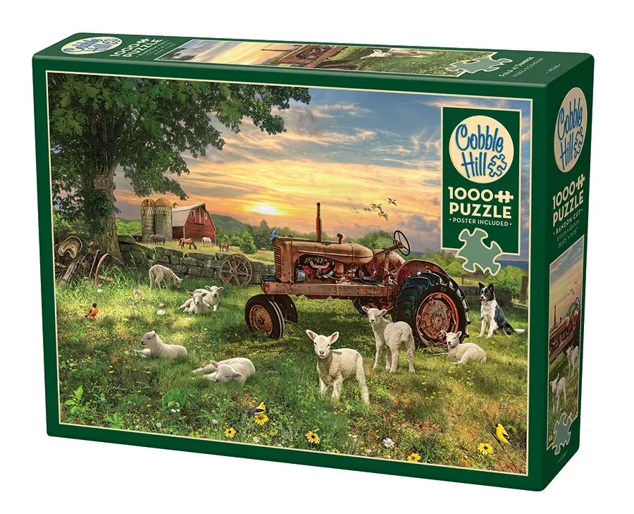 Cobble Hill Field at Sunrise puzzle 1000 piese ferma