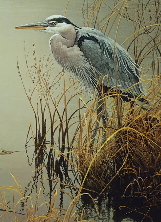Cobble Hill Great Blue Heron puzzle 500 piese natura