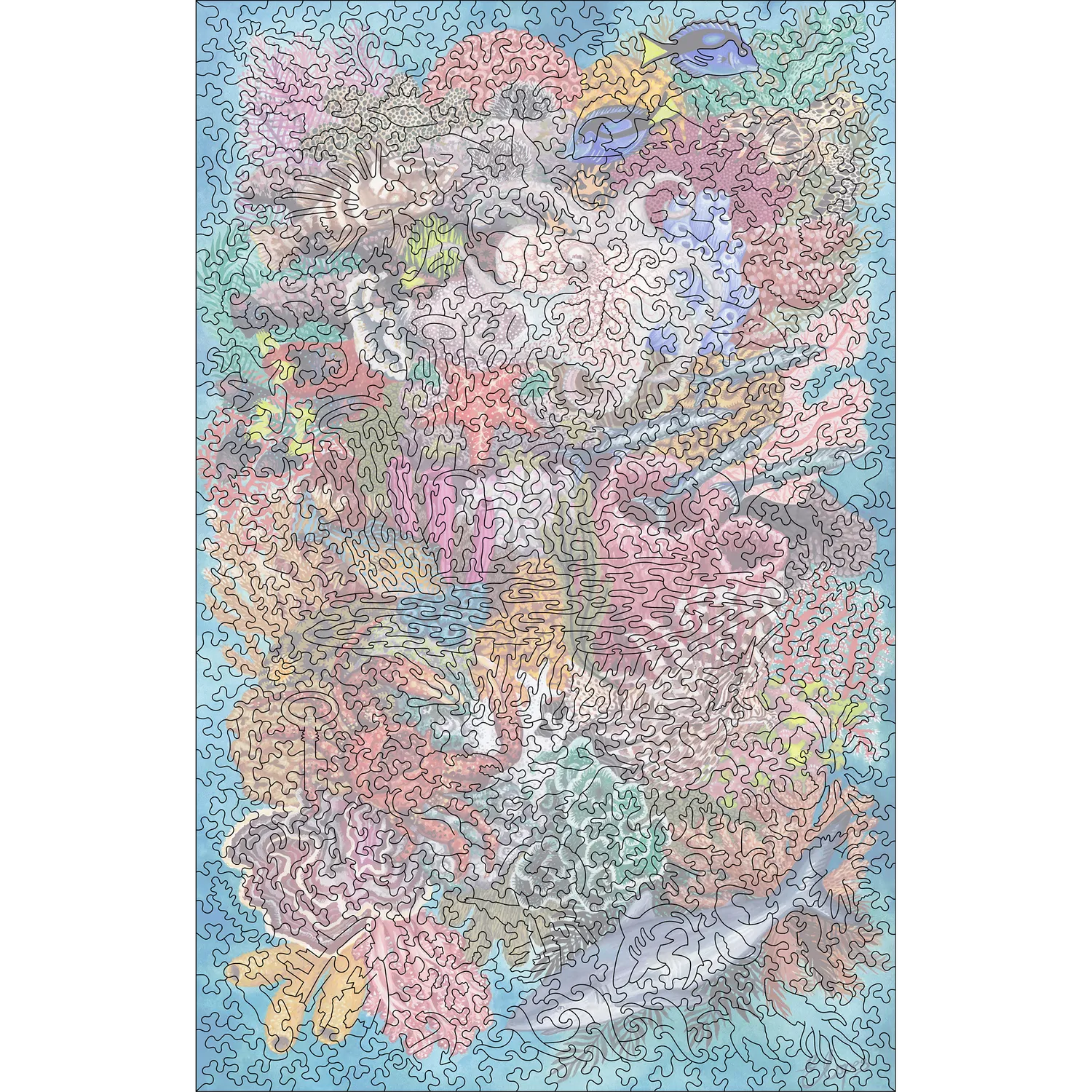 Hidden Piece Puzzles Rock Sound Reef puzzle 534 piese ocean