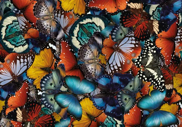 Mosaic Puzzles Butterfly Gathering puzzle lemn 1000 piese