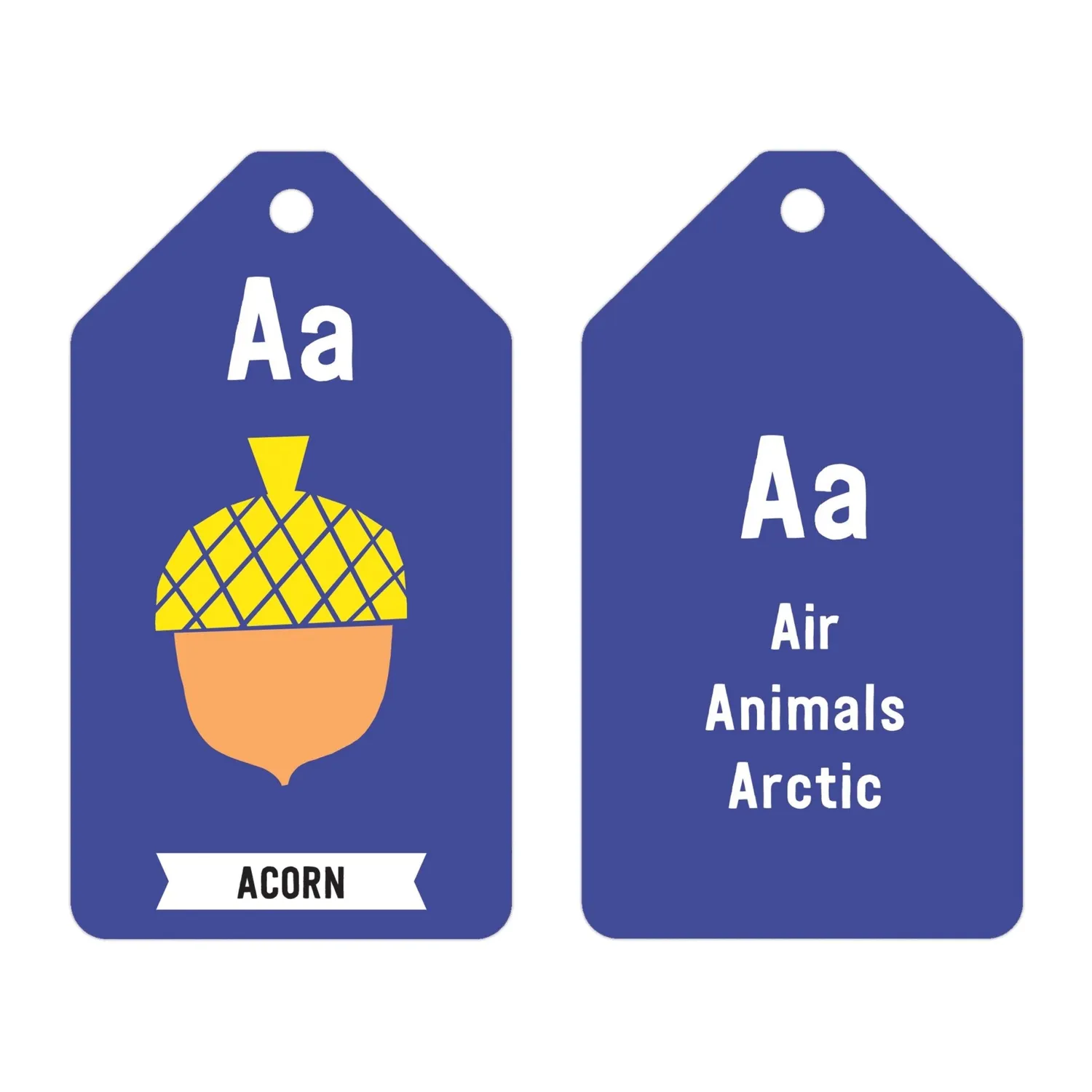 Mudpuppy ABCs of the Earth carduri alfabet 26 buc cu inel