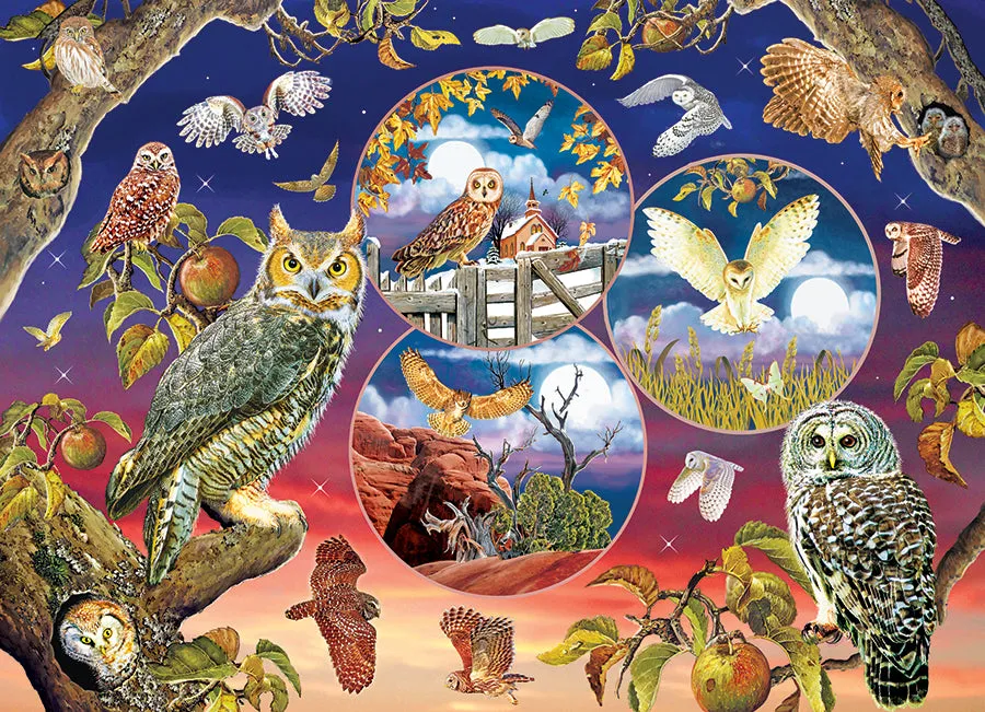 Cobble Hill Owl Magic puzzle 1000 piese bufnițe