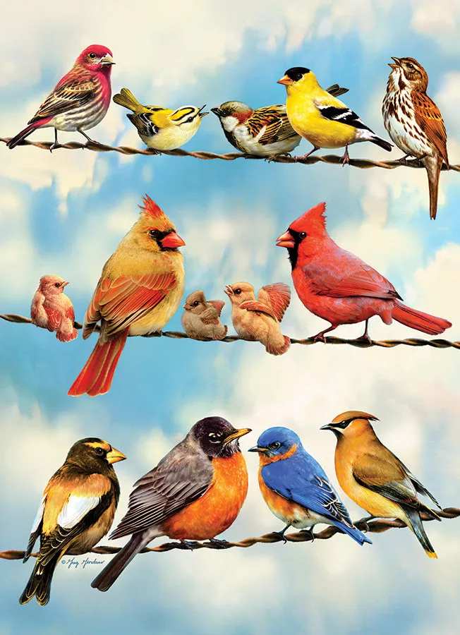 Cobble Hill Blue Sky Birds puzzle tava 35 piese copii