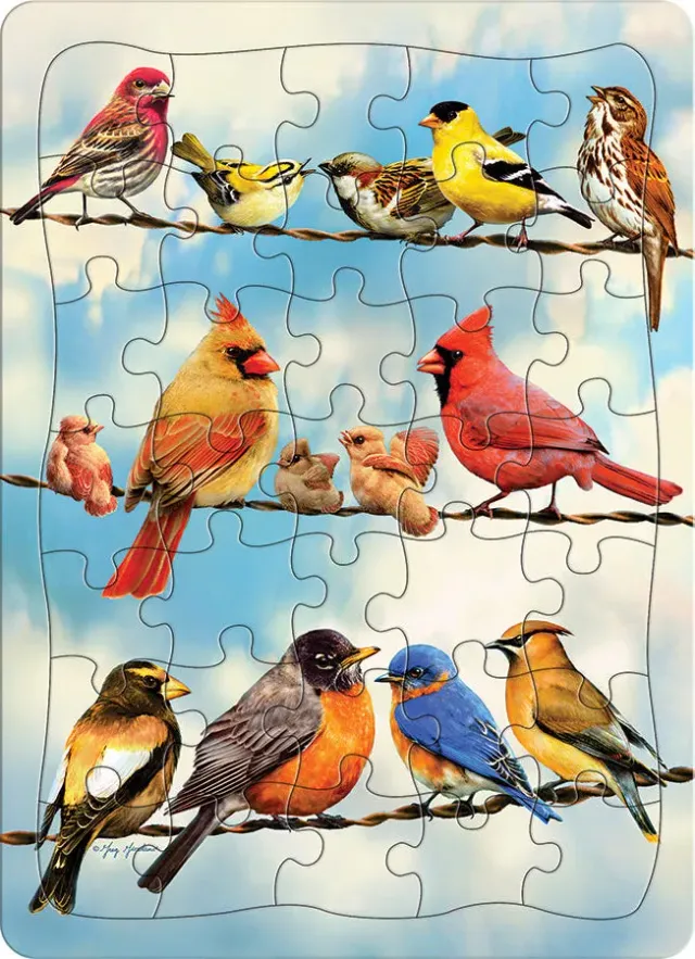Cobble Hill Blue Sky Birds puzzle tava 35 piese copii