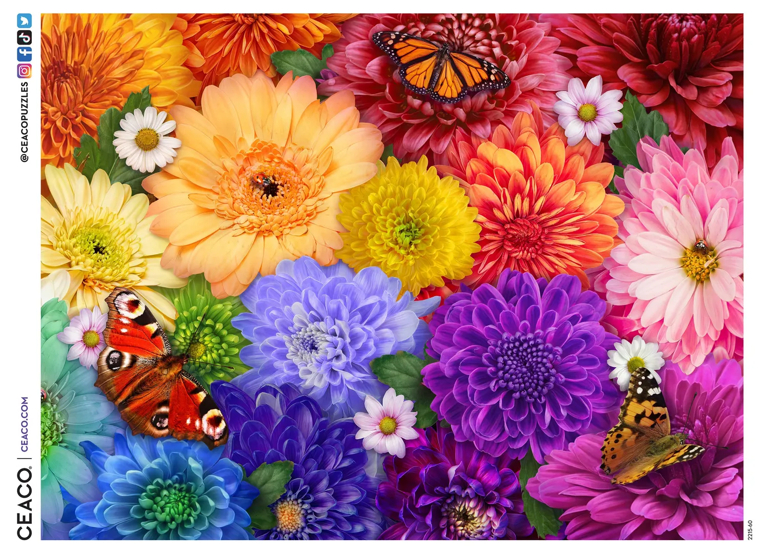 Ceaco Flower Spectrum puzzle 300 piese mari flori