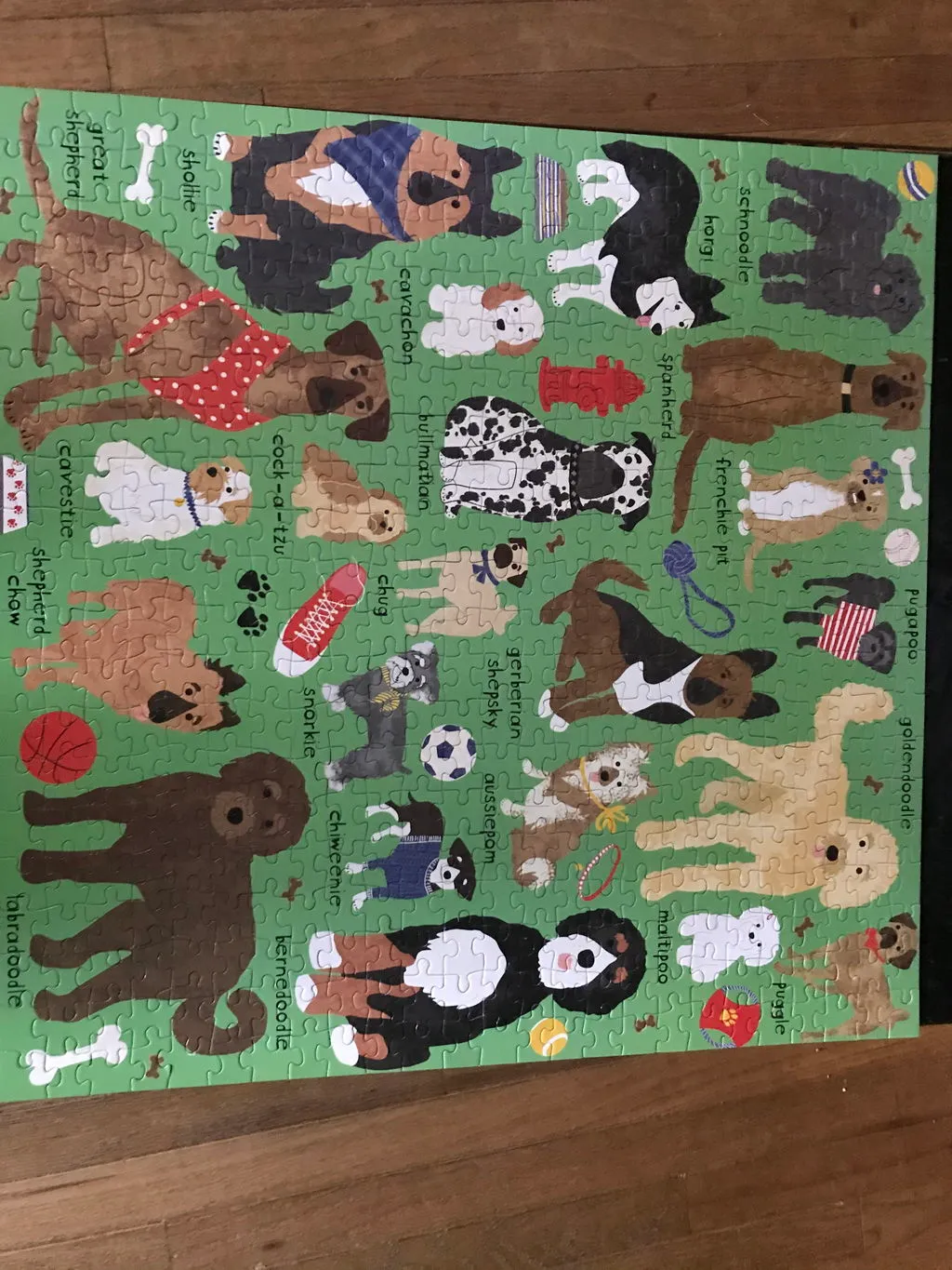 Mudpuppy Doodle Dog And Other Mixed Breeds puzzle 500 piese caini