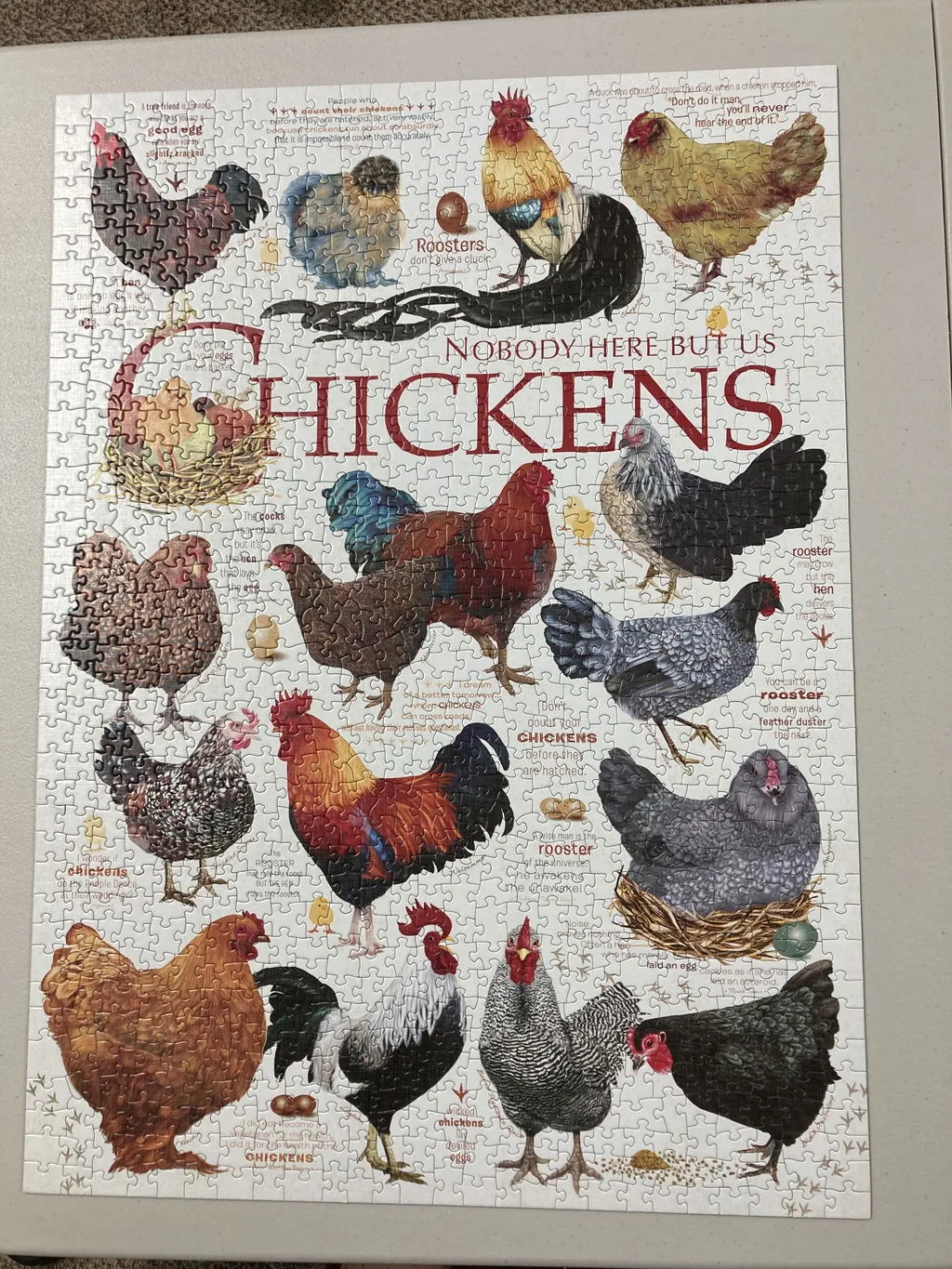 Cobble Hill Chicken Quotes puzzle 1000 piese găini