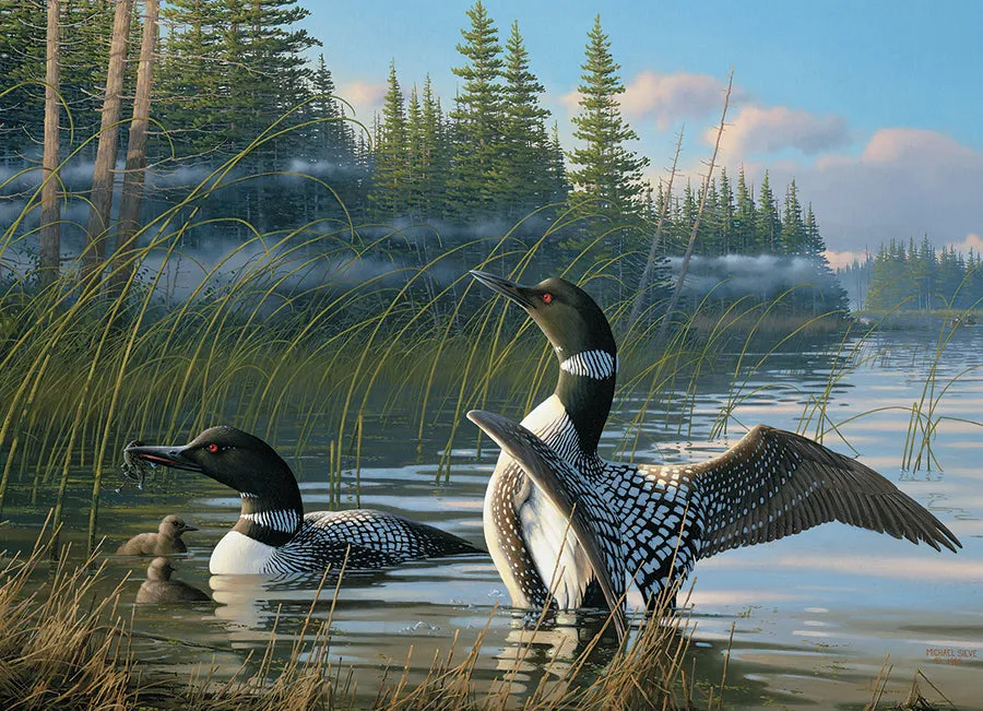 Cobble Hill Common Loons puzzle 1000 piese lac