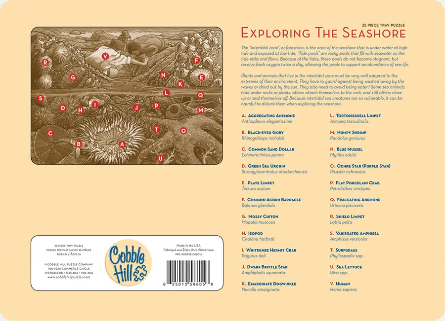 Cobble Hill Exploring the Seashore puzzle tavă 35 piese