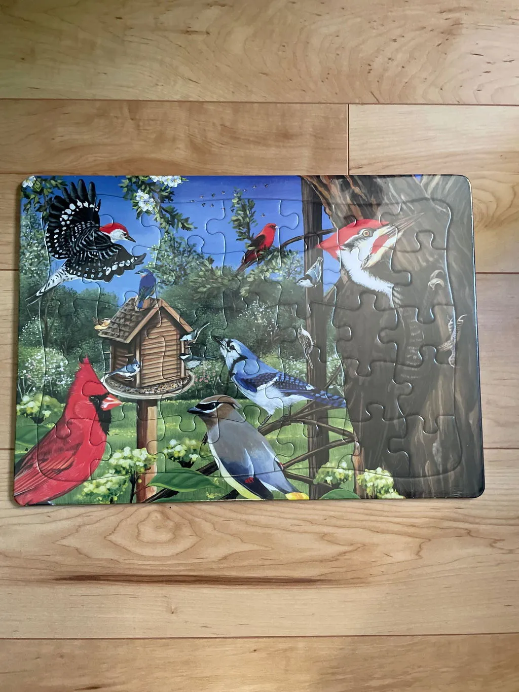 Cobble Hill Around the Birdfeeder puzzle tava 35 piese copii