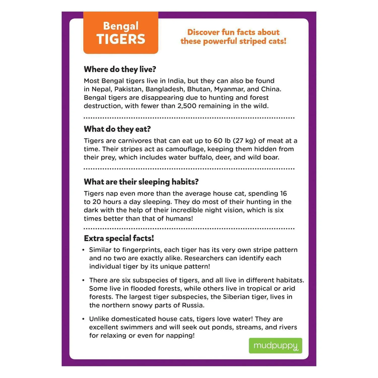 Mudpuppy Bengal Tiger mini puzzle tigru 48 piese