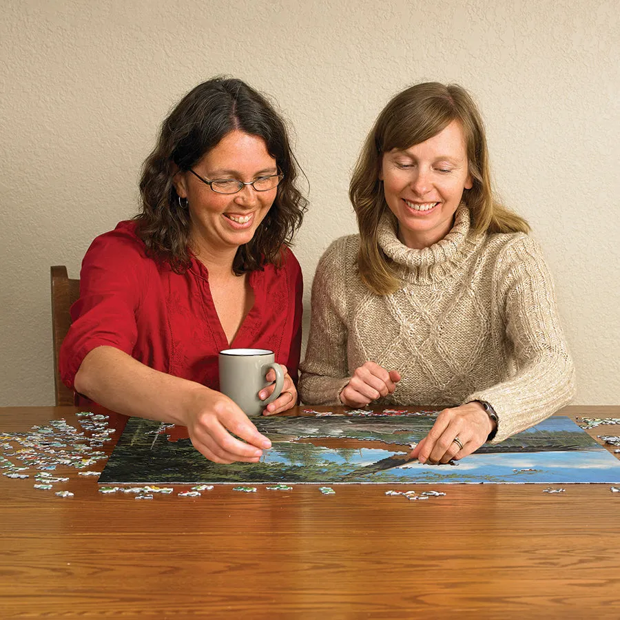Cobble Hill Nesting Eagles puzzle 1000 piese pasari