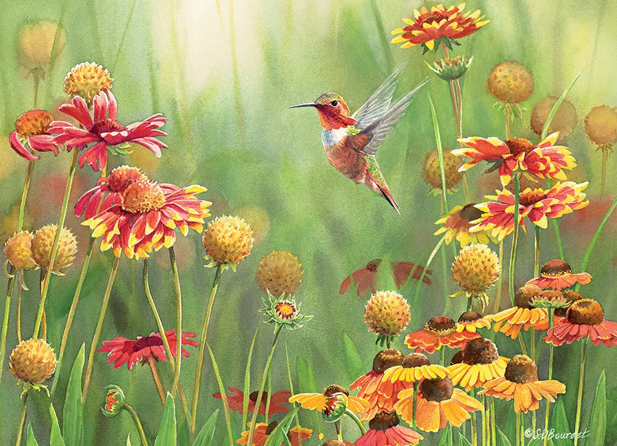 Cobble Hill Rufous Hummingbird puzzle 500 piese colibri
