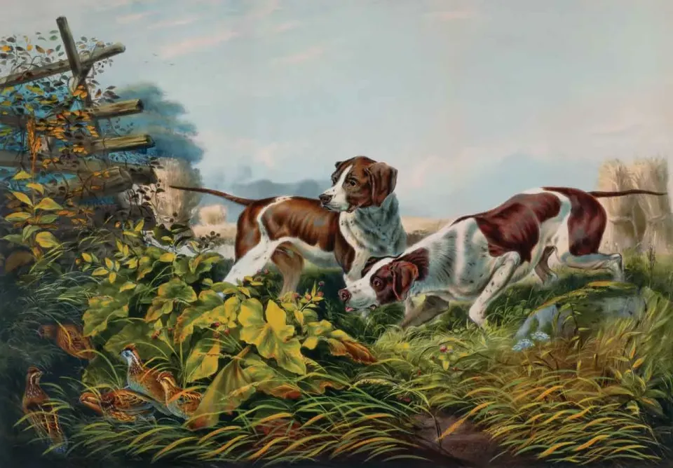 Mosaic Puzzles Companions on the Trail puzzle 500 piese cu caini