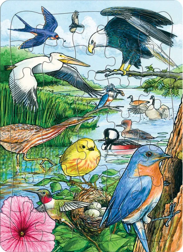 Cobble Hill North American Birds puzzle tavă 35 piese