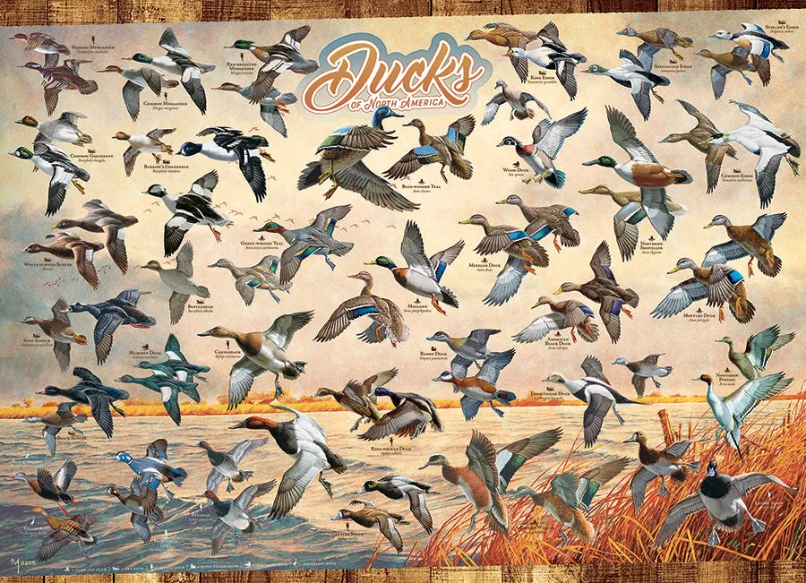 Cobble Hill Ducks North America 40177 puzzle 1000 piese