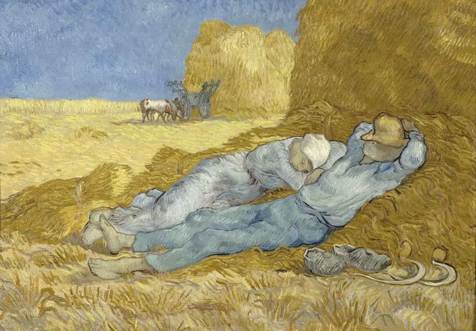 Mosaic Puzzles Siesta Van Gogh puzzle lemn 250 piese tarani