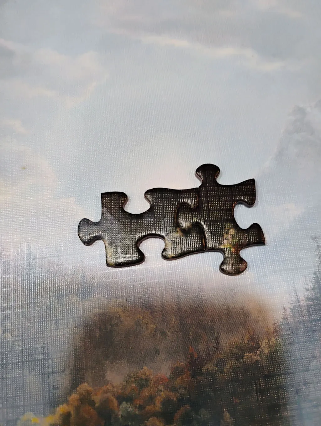 Cobble Hill Bear Night puzzle 1000 piese natura