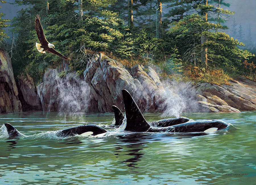Cobble Hill Orcas puzzle 1000 piese balene ocean