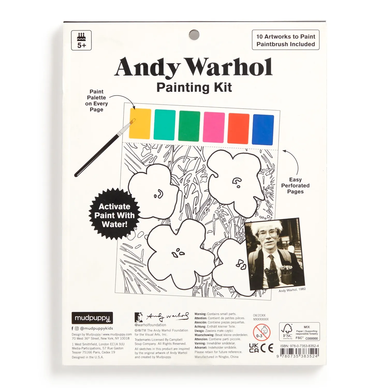 Mudpuppy Andy Warhol kit pictura 10 carduri acuarela