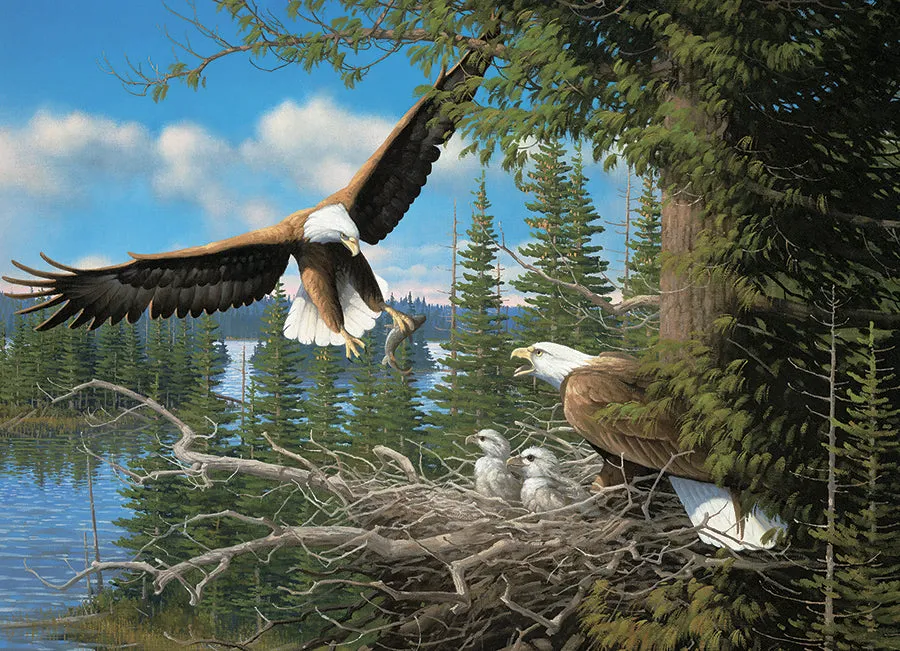 Cobble Hill Nesting Eagles puzzle 1000 piese pasari