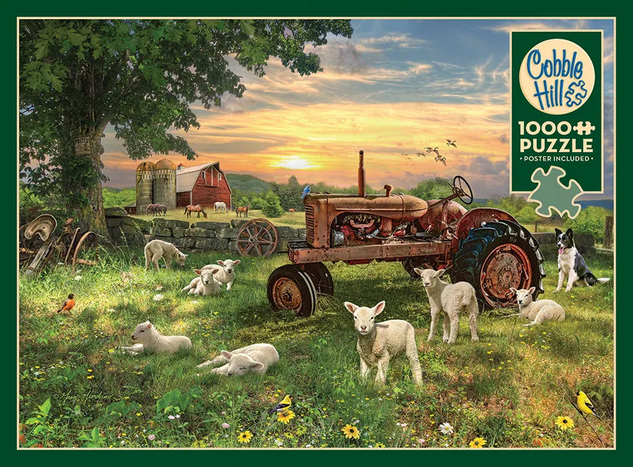 Cobble Hill Field at Sunrise puzzle 1000 piese ferma