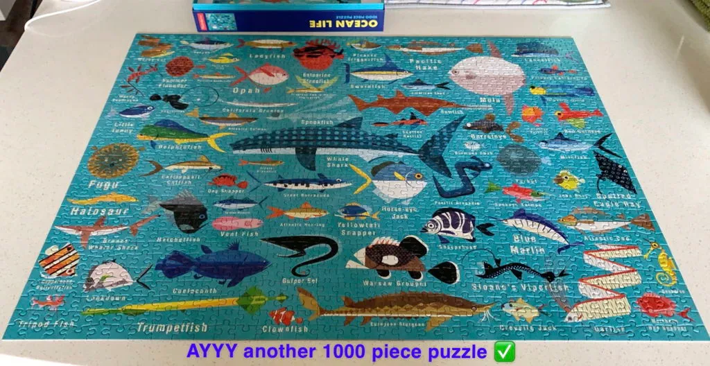 Mudpuppy Ocean Life puzzle 1000 piese pesti