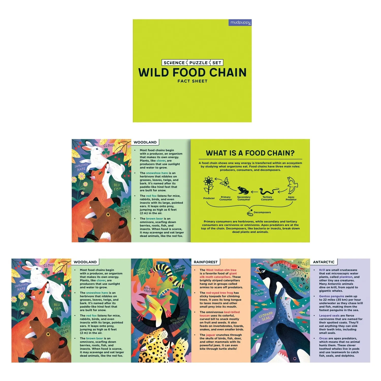 Mudpuppy Wild Food Chain set 3 puzzle 100 piese