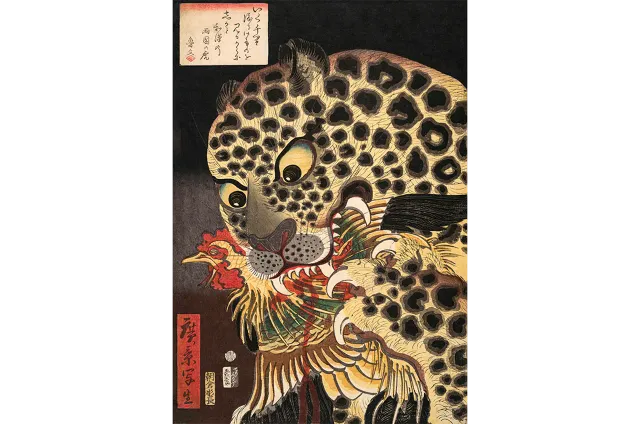 Mosaic Puzzles Tiger Ryokoku puzzle lemn 500 piese japonez