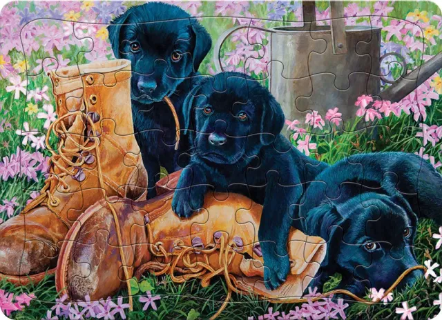 Cobble Hill Black Lab Puppies puzzle 35 piese tava catei