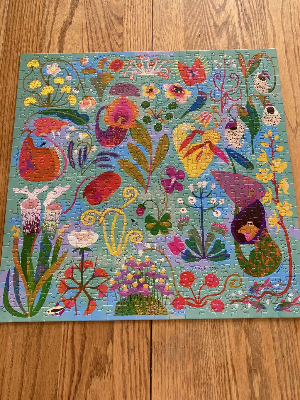 Mudpuppy Hungry Plants puzzle 500 piese pătrat