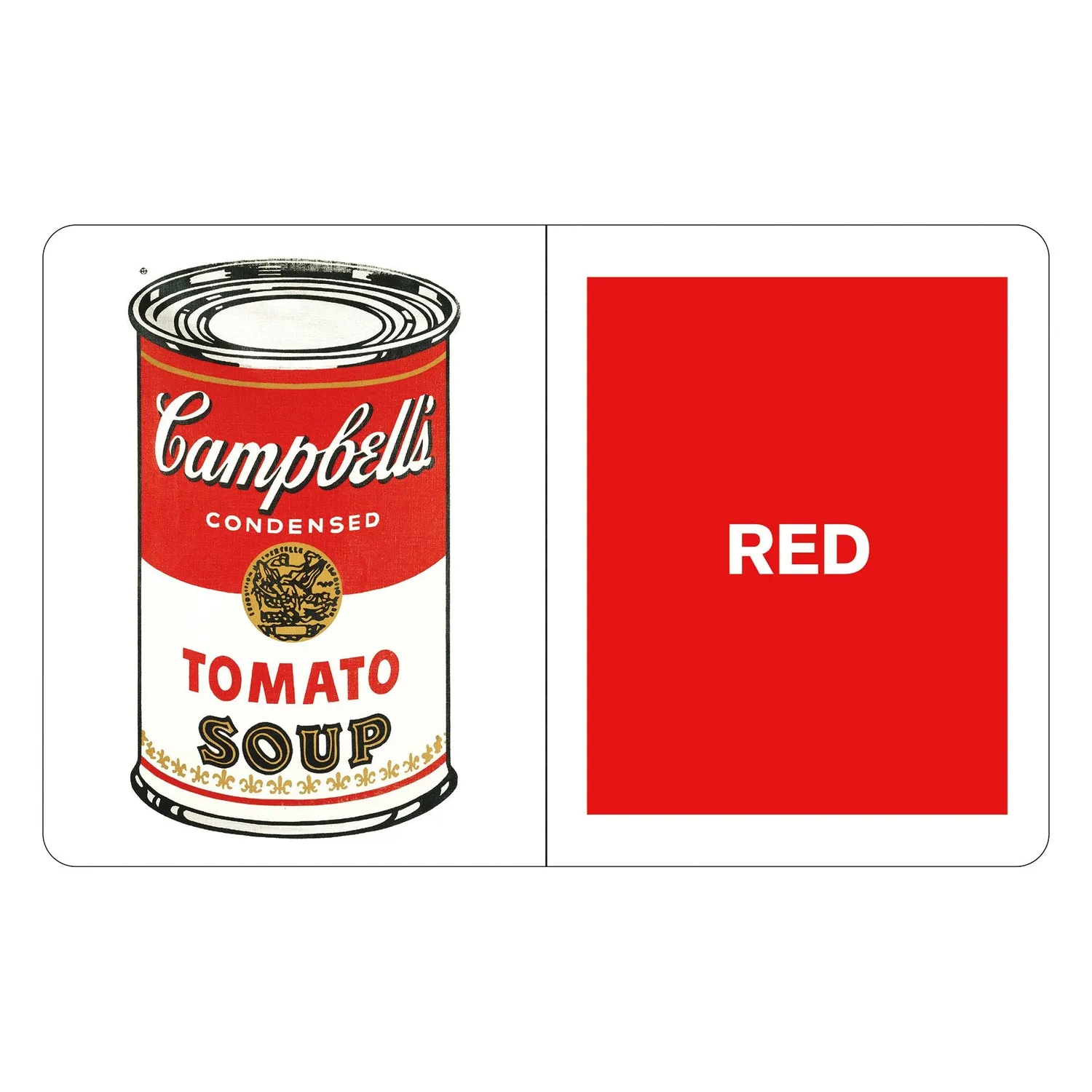 Mudpuppy Andy Warhol What Colors Do You See? carte culori