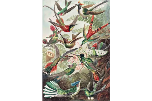 Mosaic Puzzles Birds in Flight puzzle lemn 100 piese pasari