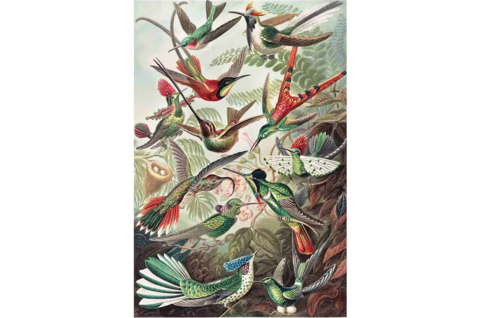 Mosaic Puzzles Birds in Flight puzzle lemn 100 piese pasari