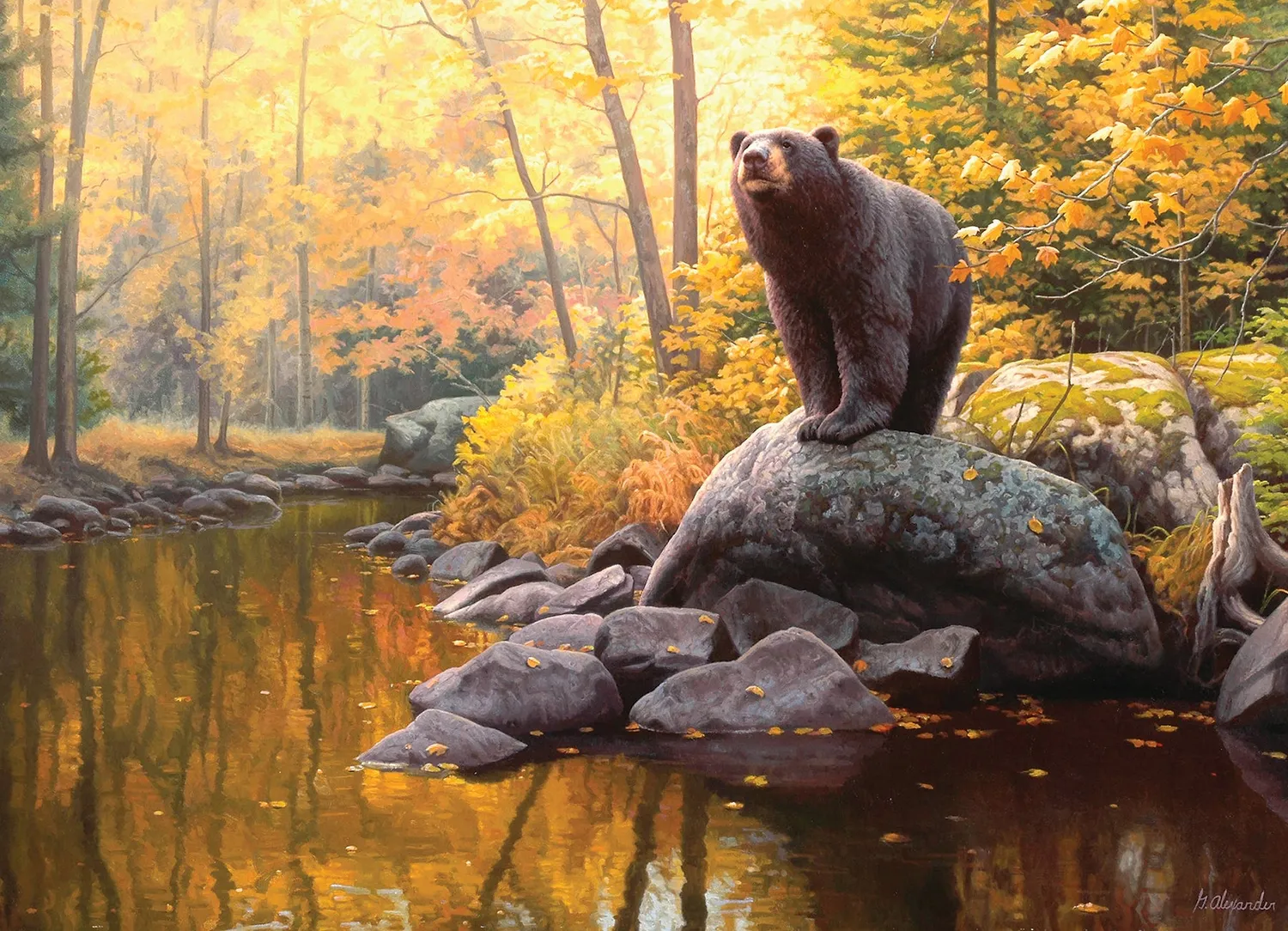 Cobble Hill Black Bear Pond puzzle 1000 piese urs
