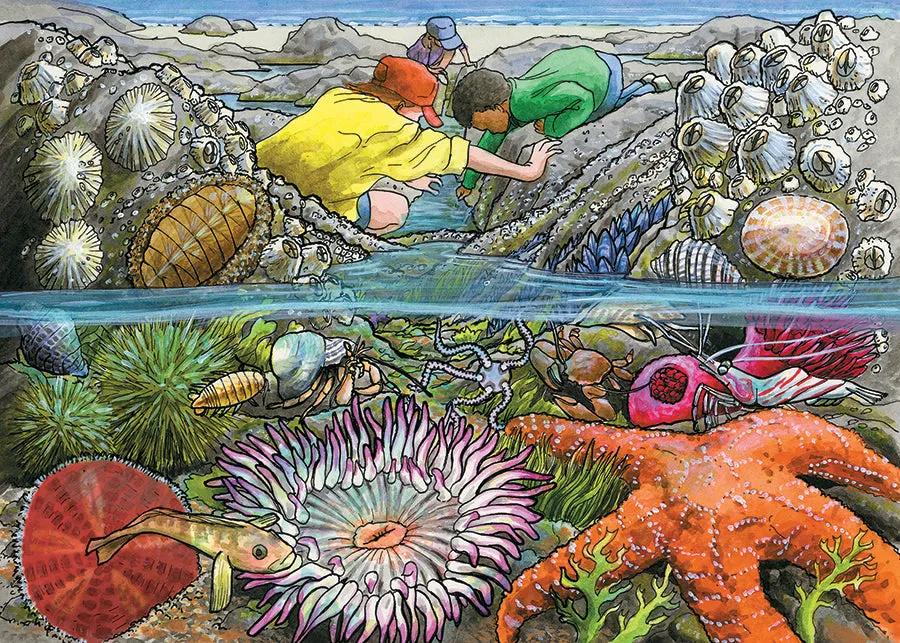 Cobble Hill Exploring the Seashore puzzle tavă 35 piese