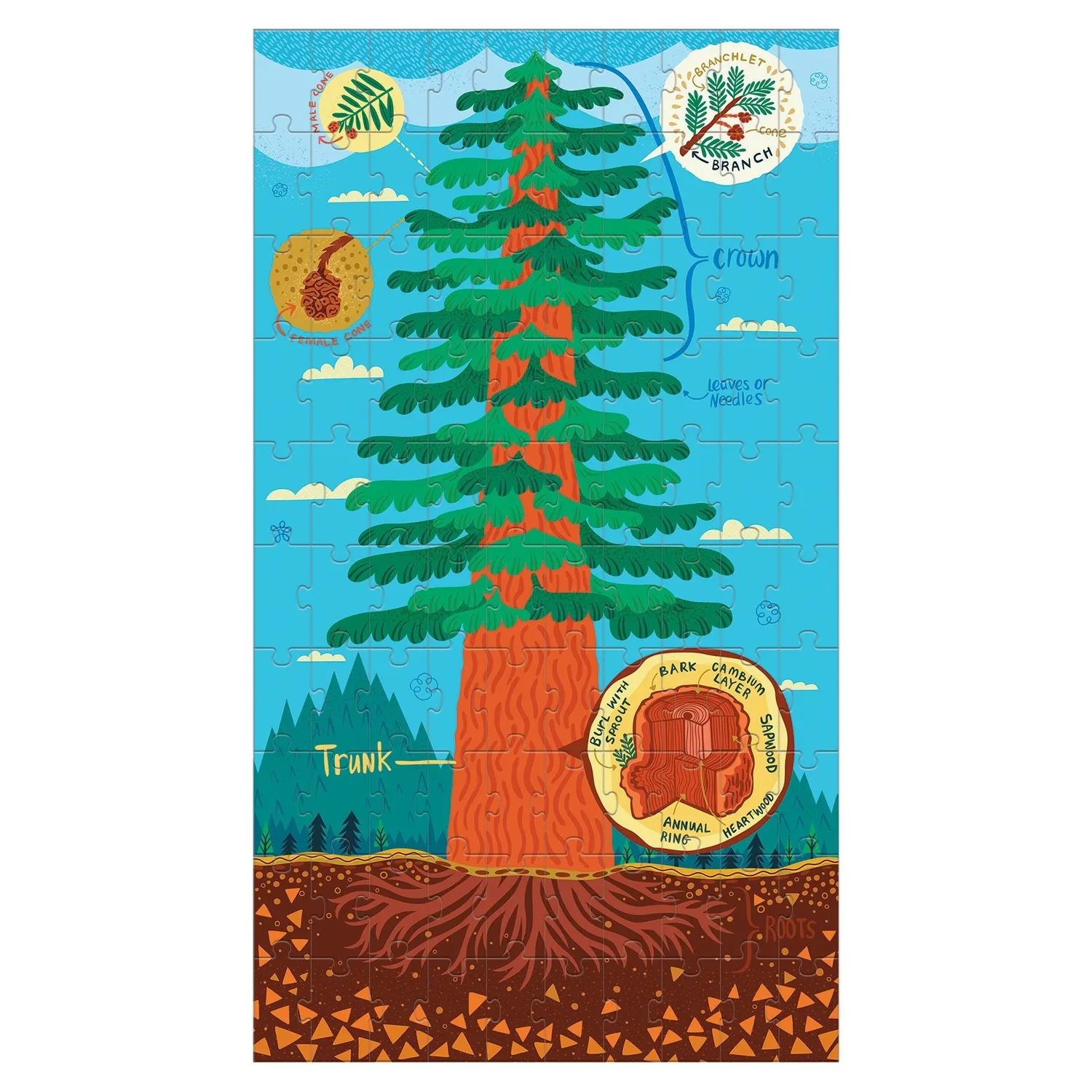 Mudpuppy Plant Anatomy puzzle copii 3x100 piese