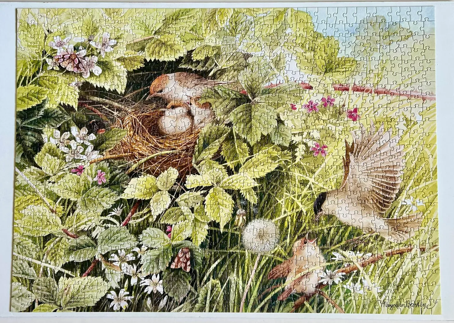Cobble Hill Hidden Nest puzzle 1000 piese pasari