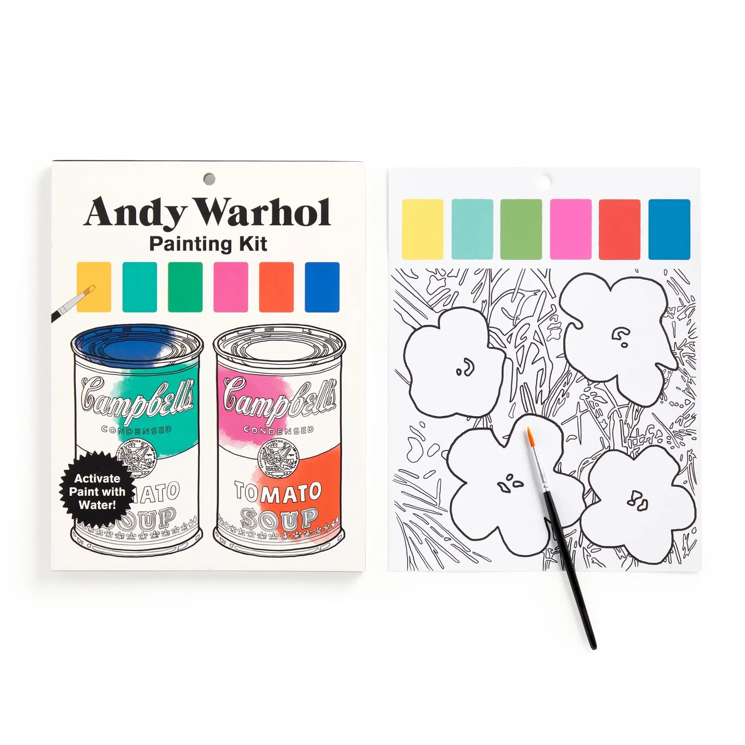 Mudpuppy Andy Warhol kit pictura 10 carduri acuarela