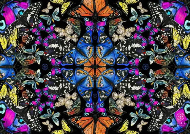 Mosaic Puzzles Butterfly Kaleidoscope puzzle 500 piese
