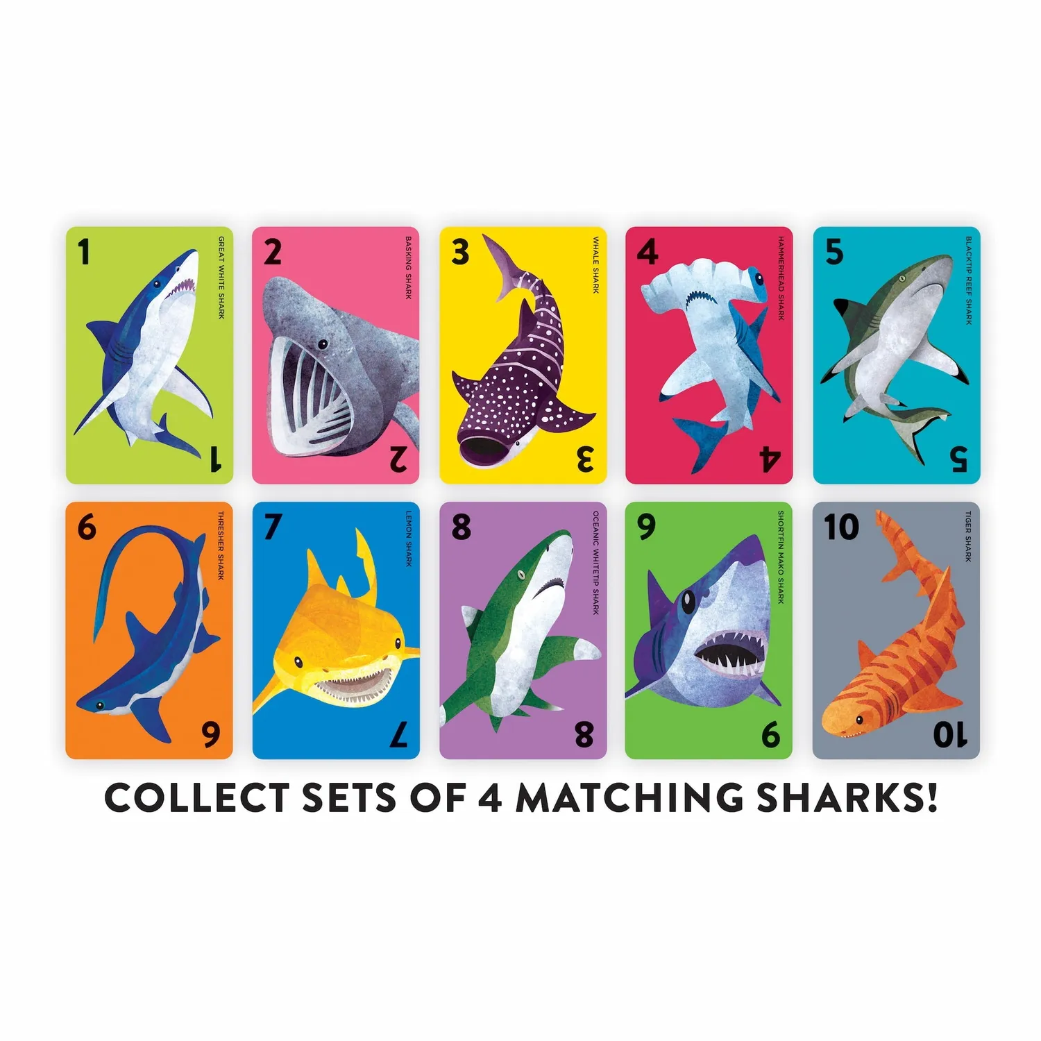 Mudpuppy Go Shark joc cărți rechini 4+ ani