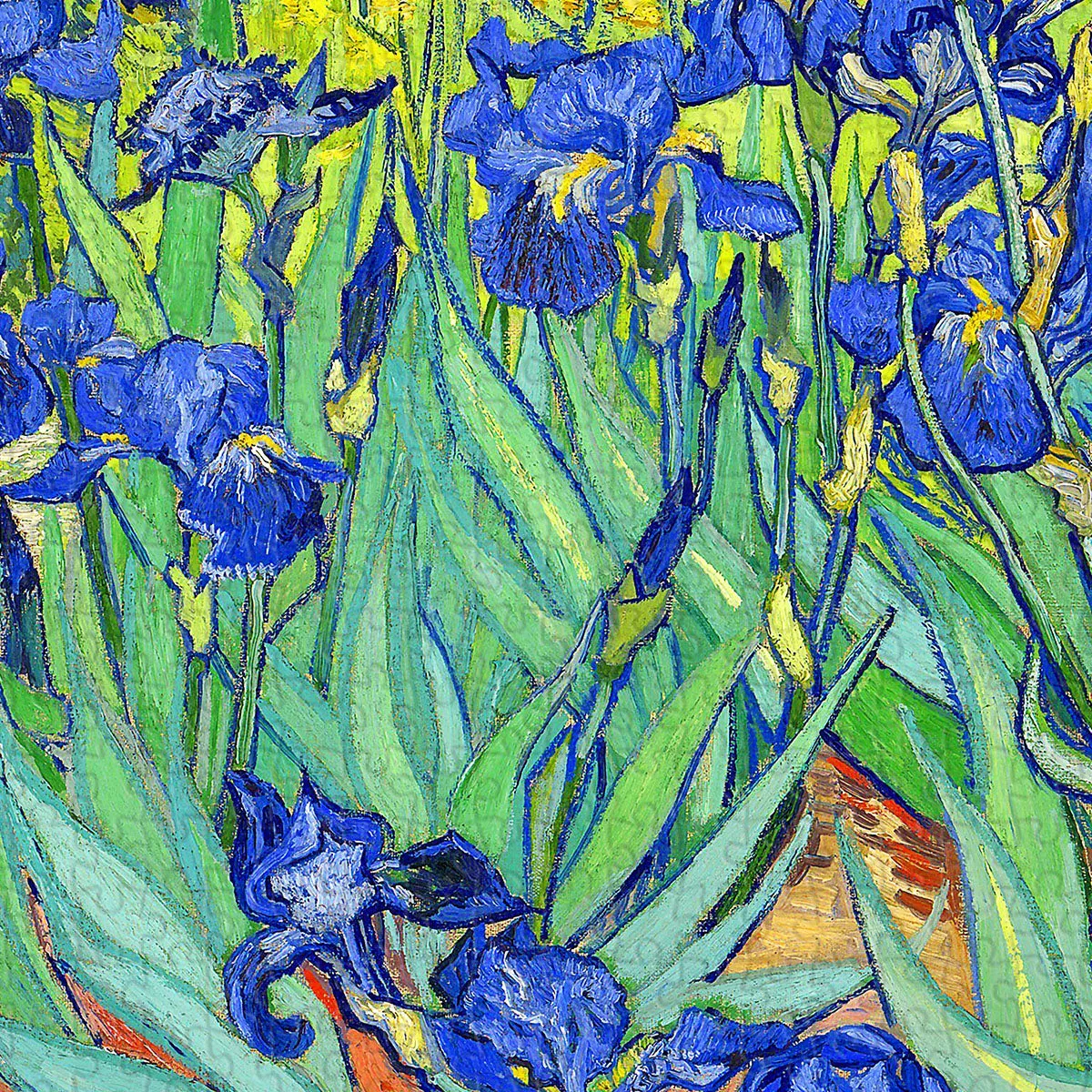 PieceRelax Irises U1111 puzzle 1000 piese Van Gogh