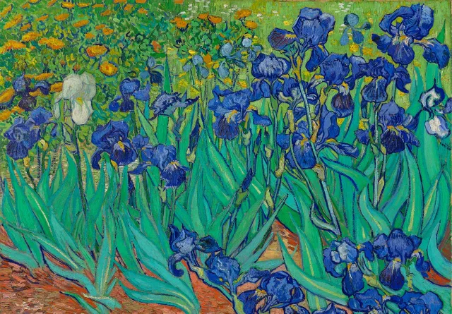 Mosaic Irises puzzle lemn 250 piese Van Gogh