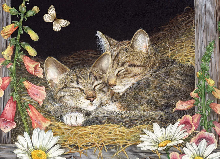 Cobble Hill Morning Snooze puzzle tavita 35 piese pisici