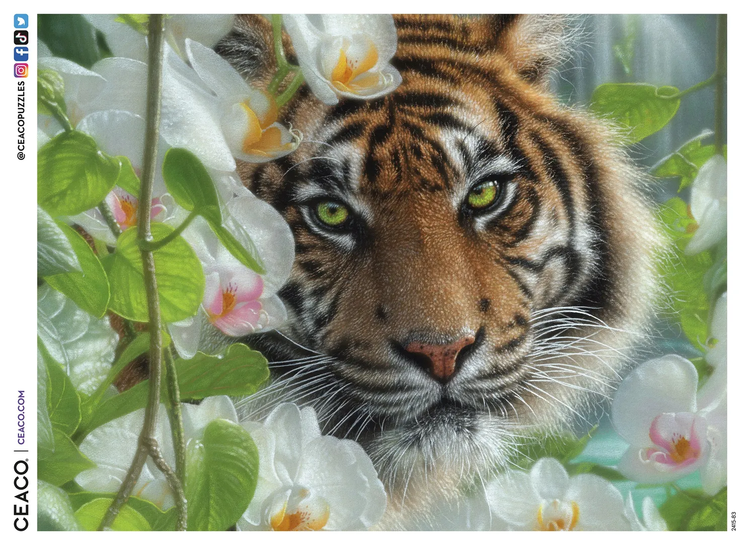 Ceaco Orchid Haven puzzle 500 piese tigru