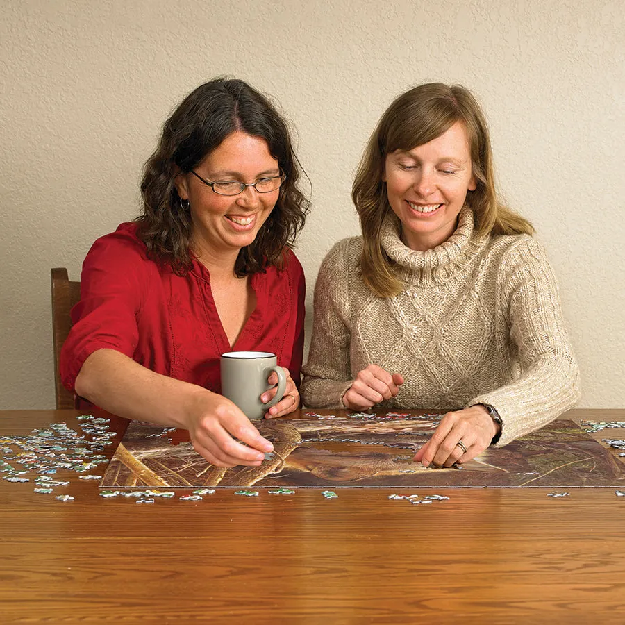 Cobble Hill A Touch of Warmth puzzle 500 piese vulpe