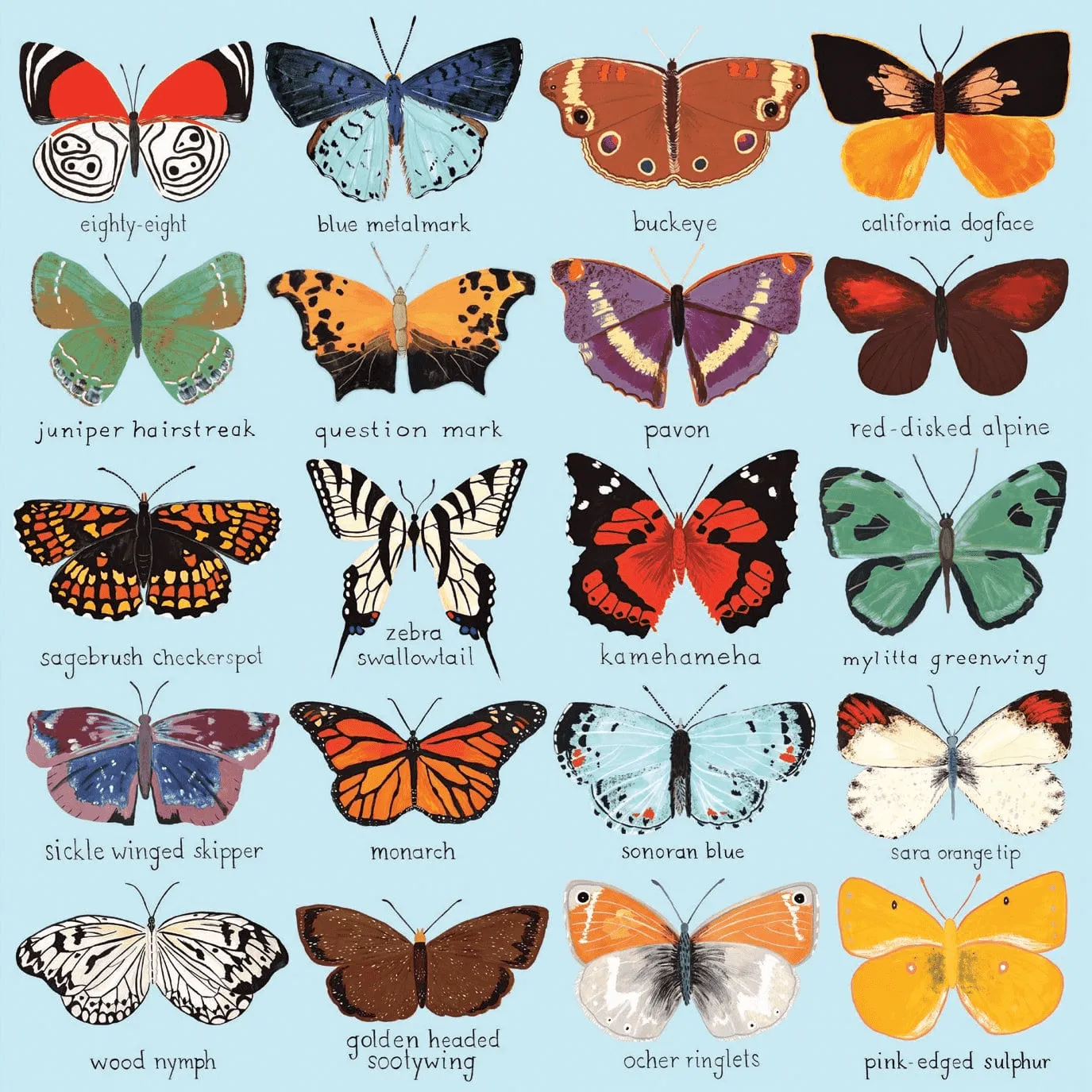 Mudpuppy Butterflies North America puzzle 500 piese fluturi