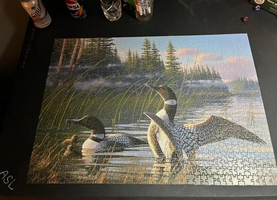 Cobble Hill Common Loons puzzle 1000 piese lac