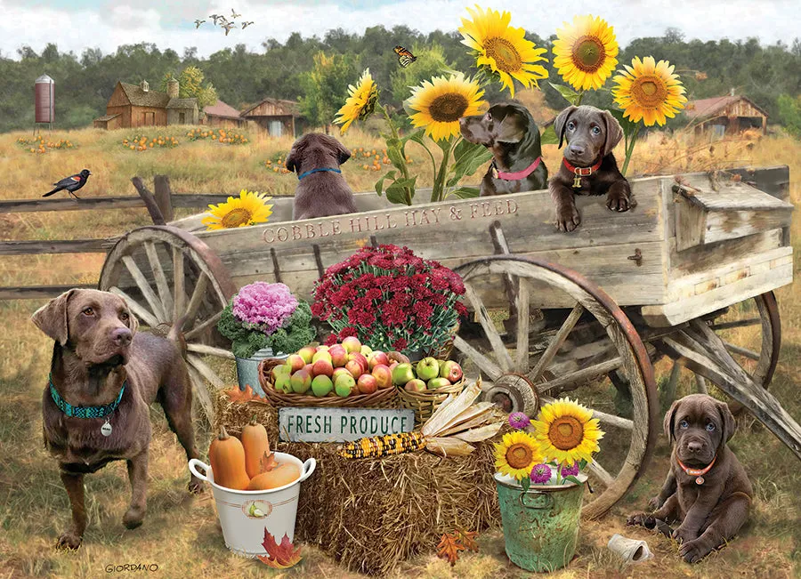Cobble Hill Choc Wagon puzzle 500 piese cu labradori